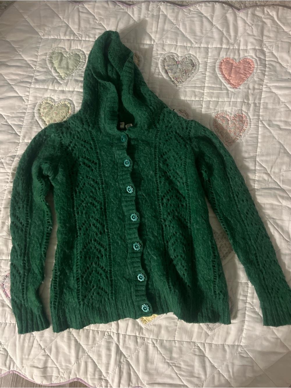 Moth Anthropologie Green Wool Button Up Hooded Sweater Size Medium Cottage Core